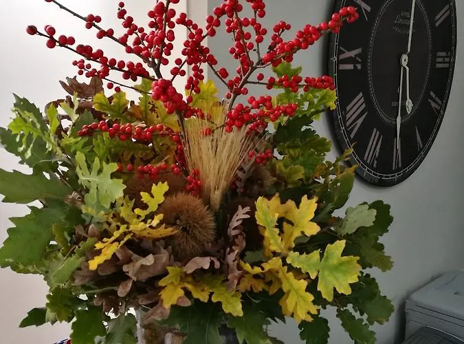 酒店 布鲁曼酒店 卡塞塔